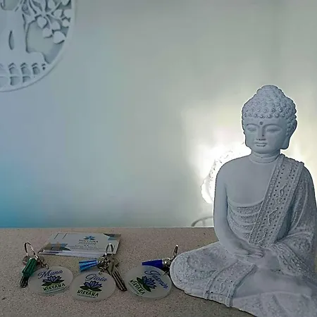 Nirvana Experience Bed & Breakfast 3*